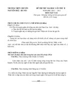 Đề thi thử đại học môn văn năm 2011 lần 2 trường THPT Nguyễn Huệ pot