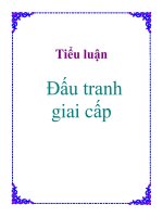 Tiểu luận: Đấu tranh giai cấp ppsx