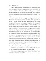 Quá trình và phương pháp chế biến máy say nông sản trong dây chuyền sản xuất nông nghiệp p7 potx