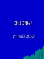 Bài giảng: Lý thuyết lợi ích doc