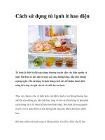 Cách sử dụng tủ lạnh ít hao điện pot