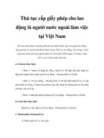 Thủ tục cấp giấy phép cho lao động là người nước ngoài làm việc tại Việt Nam pot