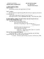 Đề thi thử đại học môn văn năm 2011 trường THPT A Nghĩa Hưng potx