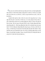 Quá trình hình thành khả năng quyết định và định hướng phát triển kinh tế cá thể của nhà nước p7 ppsx