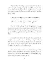 Luận văn tốt nghiệp: Tiến trình để Việt nam hội nhập và phát triển tốt trong kinh tế thế giới phần 2 pot