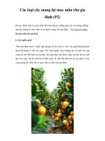 Các loại cây mang lại may mắn cho gia đình (P2) pdf