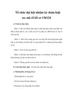 Tổ chức đại hội nhiệm kỳ đoàn luật sư, mã số hồ sơ 136124 ppt