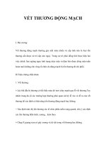 VẾT THƯƠNG ĐỘNG MẠCHI potx