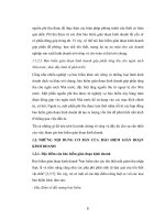 Luận văn tốt nghiệp : Tìm hiểu nguyên nhân và vai trò của bảo hiểm gián đoạn kinh doanh phần 2 pps