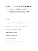 NGHIÊN CỨU LÂM SÀNG VÀ HÌNH ẢNH CHỤP CẮT LỚP VI TÍNH Ở BỆNH NHÂN ĐỘT QUỴ THIẾU MÁU NÃO GIAI ĐOẠN SỚM doc