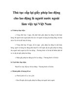 Thủ tục cấp lại giấy phép lao động cho lao động là người nước ngoài làm việc tại Việt Nam doc