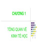 Bài giảng Kinh tế học pptx