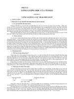 NĂNG LƯỢNG VÀ SỰ TRAO ĐỔI CHẤT potx