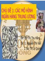 Báo cáo tiểu luận: Mô hình ngân hàng trung ương pps