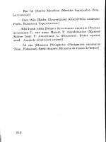 Dược trà dưỡng sinh part 8 pptx