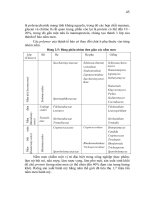 Giáo trình Vi sinh vật học part 2 docx