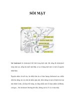 SỎI MẬT pdf