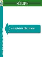 CÂY NHỊ PHÂN TÌM KIẾM CÂN BẰNG pps