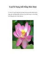 Loại bỏ bọng mắt bằng thảo dược ppt