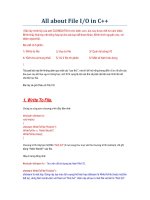 All about File I/O in C++ ppsx