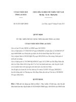 Quyết định số 03/2011/QĐ-UBND docx