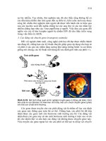 Giáo trình di truyền học part 10 pps