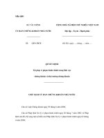 Mẫu quyết định xử phạt vi phạm hành chính trong lĩnh vực chứng khoán và thị trường chứng khoán potx