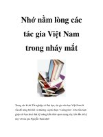 Nhớ nằm lòng các tác gia Việt Nam trong nháy mắt pdf
