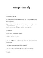 Viêm phế quản cấp docx