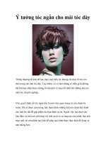 Ý tưởng tóc ngắn cho mái tóc dày pdf