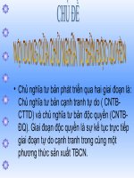 Bài thuyết trình chủ nghĩa tư bản pps