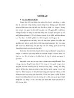 Xây dựng cấu trúc vốn tối ưu cho công ty cổ phần alphanam