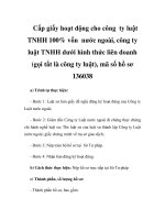 Cấp giấy hoạt động cho công ty luật TNHH 100% vốn nước ngoài, công ty luật TNHH dưới hình thức liên doanh (gọi tắt là công ty luật), mã số hồ sơ 136038 pps