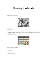 Phản ứng truyền máu pot