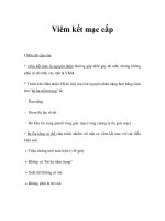 Viêm kết mạc cấ docx