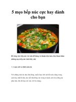 5 mẹo bếp núc cực hay dành cho bạn pdf