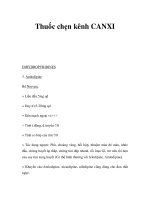 Thuốc chẹn kênh CANXIDIHYDROPYRIDINES ppt