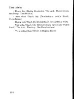 Dược trà dưỡng sinh part 6 pptx