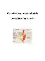 Chiến lược can thiệp tiểu khó do bướu lành tiền liệt tuyến pptx