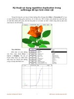 Kỹ thuật sử dụng repetitive duplication trong softimage để tạo hình nhân vật p1 doc