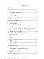 Bước đầu nghiên cứu và đề xuất quy trình sản xuất thử nghiệm đồ hộp ngó sen dầm dấm