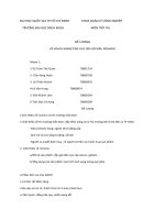 ĐỀ CƯƠNG: KẾ HOẠCH MARKETING CHO DẦU GỘI ĐẦU ROMANO potx