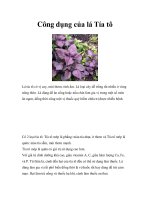 Công dụng của lá Tía tô pps