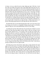 ĐỜI SỐNG CÁC LOÀI CHIM part 4 pptx