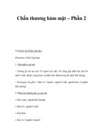 Chấn thương hàm mặt – Phần 2 ppsx