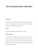 VỠ LÁCH DO CHẤN THƯƠNG potx