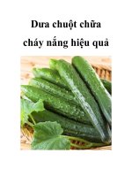 Dưa chuột chữa cháy nắng hiệu quả pdf