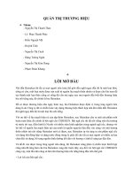 chiến lược sản phẩm bột ngũ cốc cereken của heineken