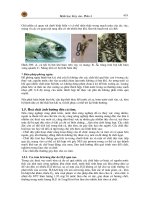 Bênh học thủy sản tập 4 part 2 pps