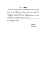 Ứng dụng vi điều khiển thiết kế bộ điều khiển động cơ điện một chiều